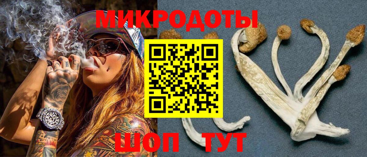 Фрязино  Псилоцибиновые грибы GOLDEN TEACHER  Псилоцибиновые грибы GOLDEN TEACHER  Вход с VPN 