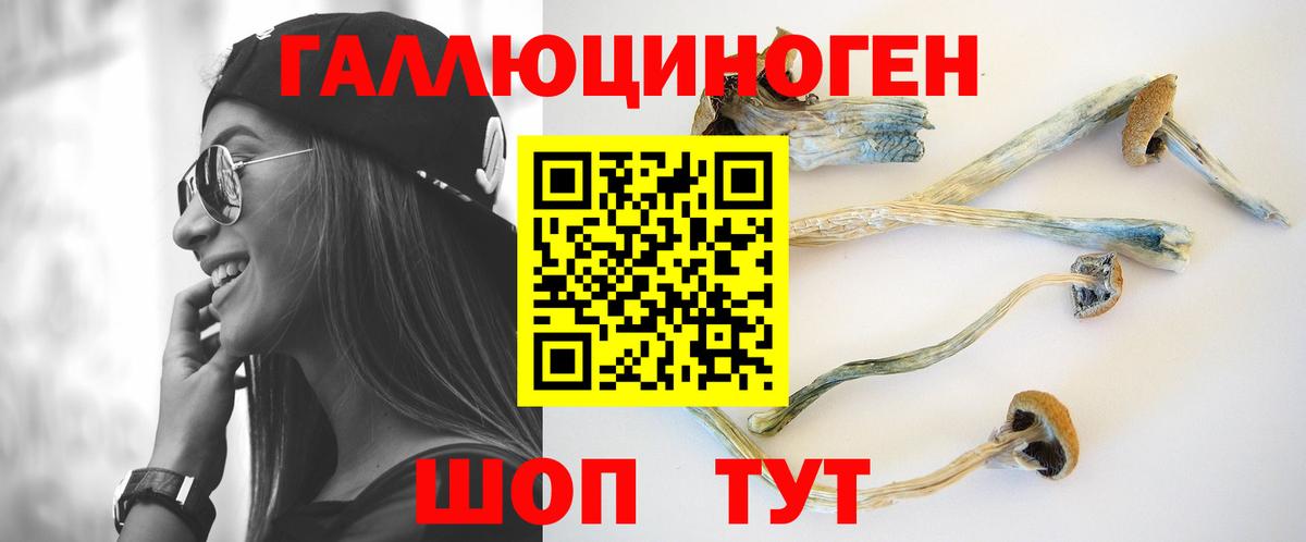 Псилоцибиновые грибы GOLDEN TEACHER Фрязино
